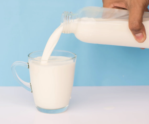 Konya Kımız | Ataseven Kımız ile Aynı Gün Keşif ve Doğal, Katkısız Üretim Garantisi