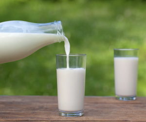 Kımız Fiyatları 2026 | Ataseven Kımız Güncel Liste ve Net Maliyet Analizi