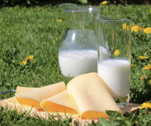 Kımız Satışı | Ataseven Kımız ile Günlük Taze, Kontrollü ve Garantili Üretim (2026)